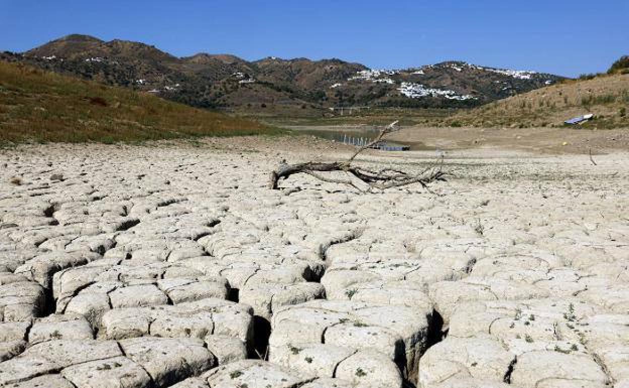 Spanish government to convene National Drought Committee to tackle the serious water shortage